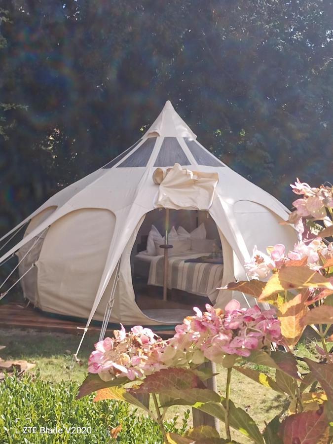Glamping Altes Pastorat * Barmstedt